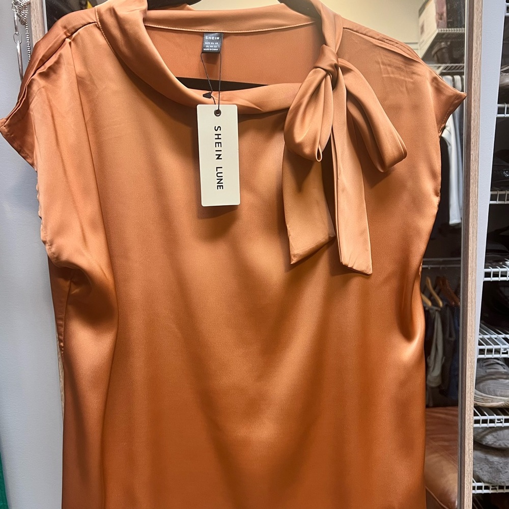 Shein Line Copper Satin Blouse